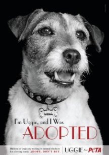 'The Artist' Star Uggie Says, 'Adopt, Don't Buy'